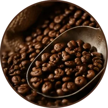 collection-img